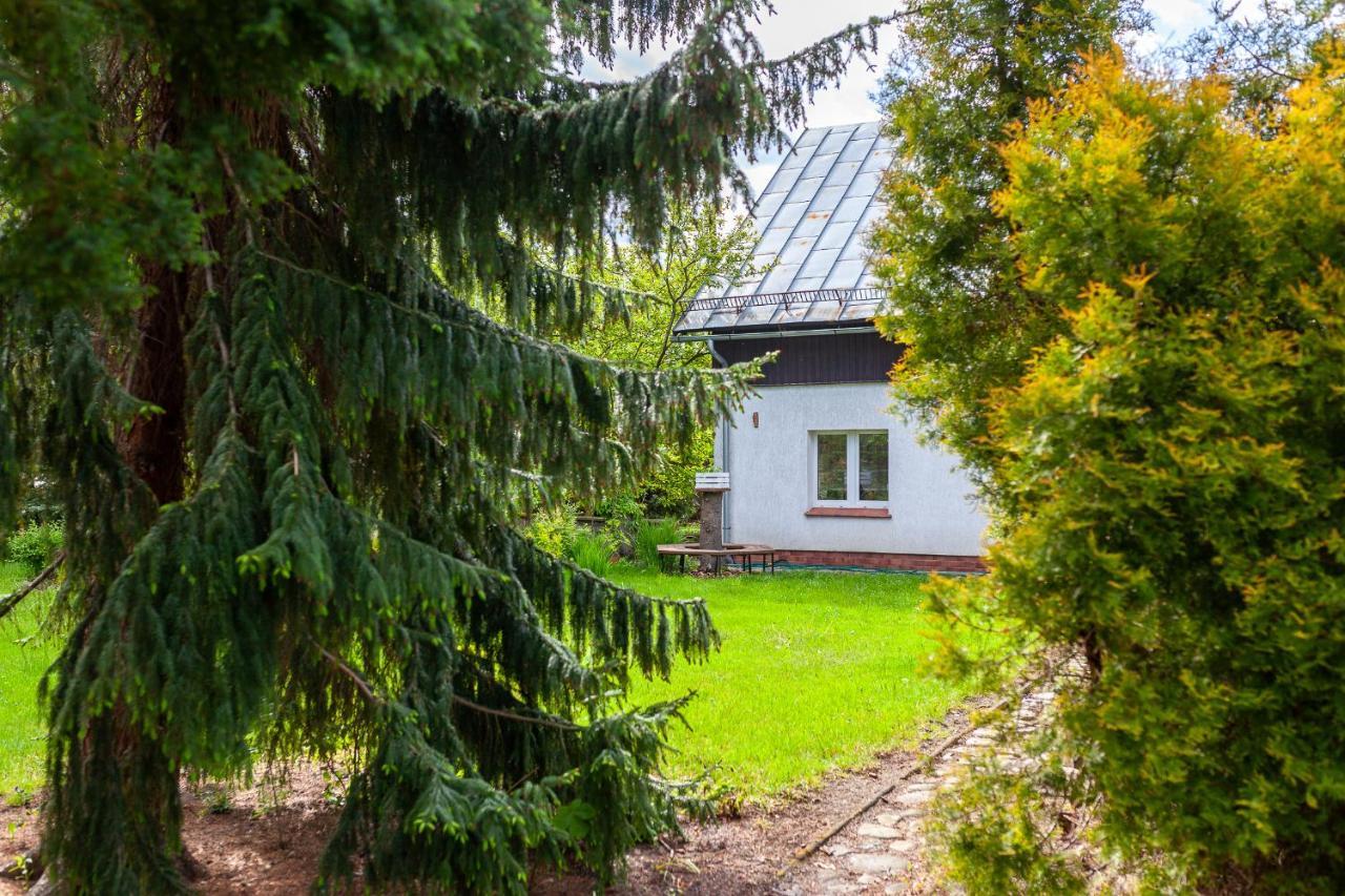 Całoroczny Dom Wakacyjny MAGNOLIA Miłków-Karpacz Exterior foto